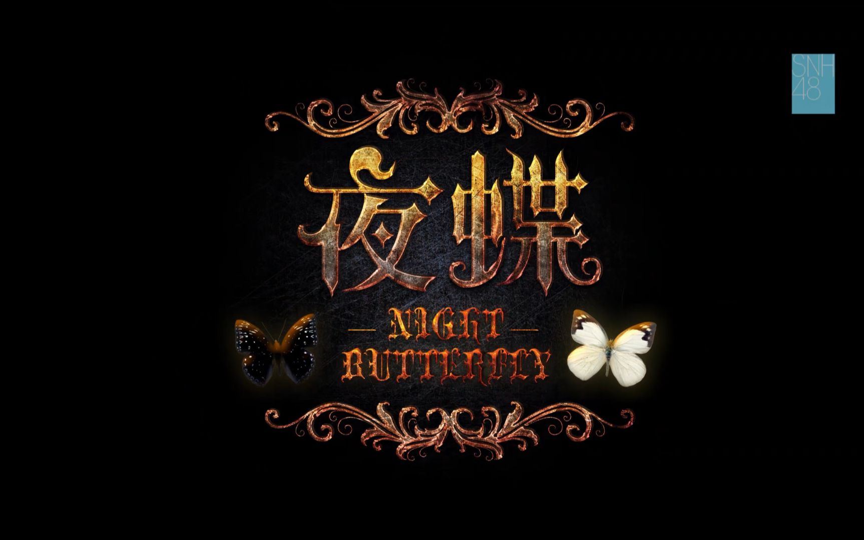 snh48-夜蝶 4k増强