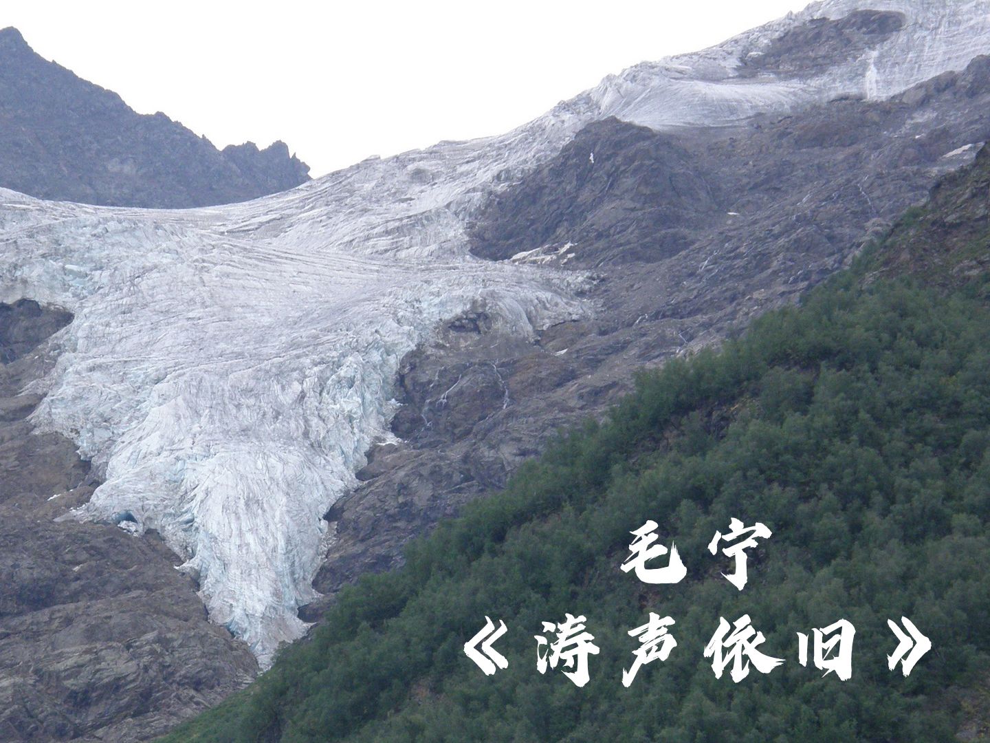 毛宁歌曲涛声依旧(毛宁歌曲涛声依旧天天把歌唱)