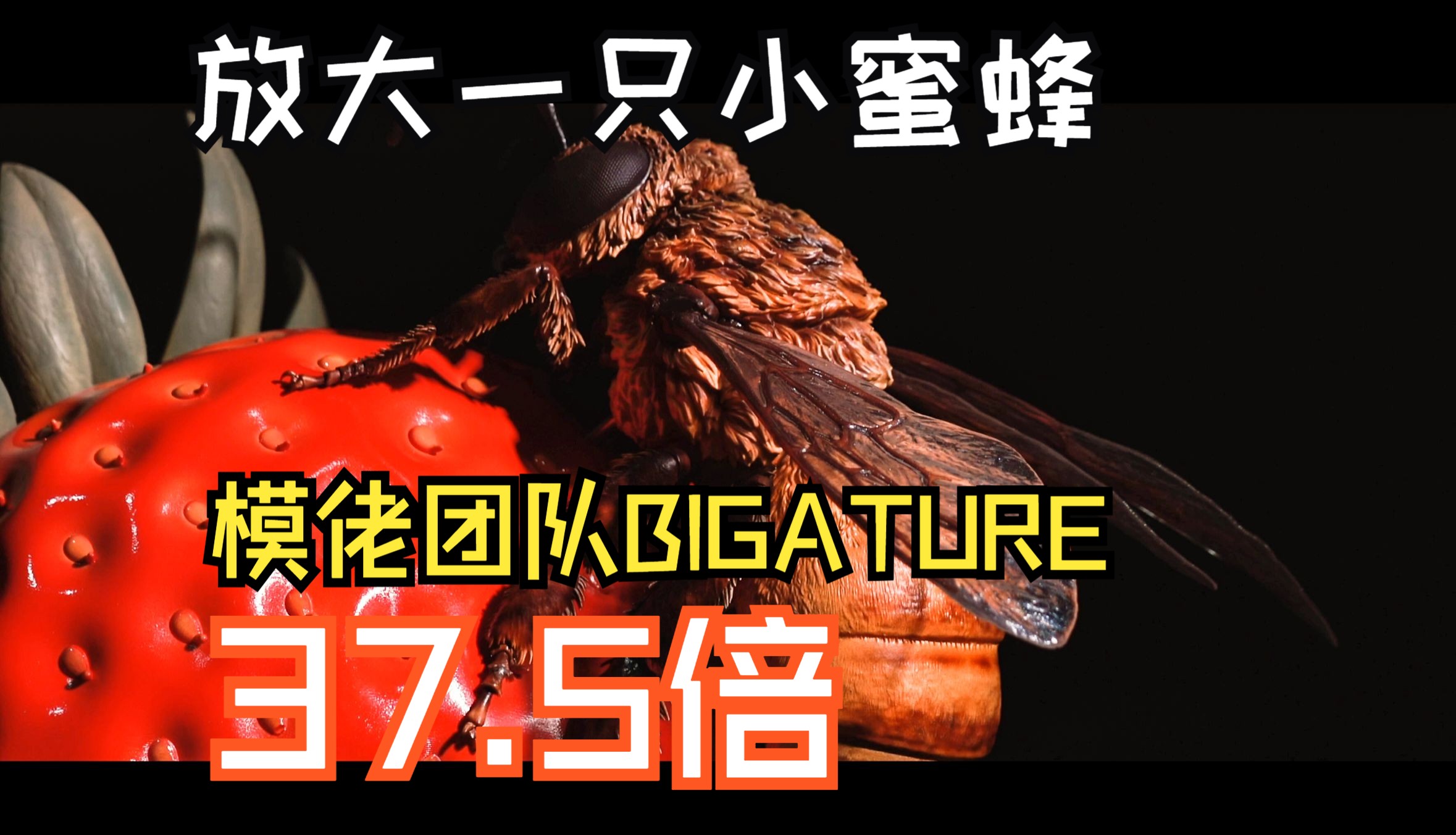 【星之桥模型室】miniature?BIGature!当模佬把小蜜蜂放大37.5倍哔哩哔哩bilibili