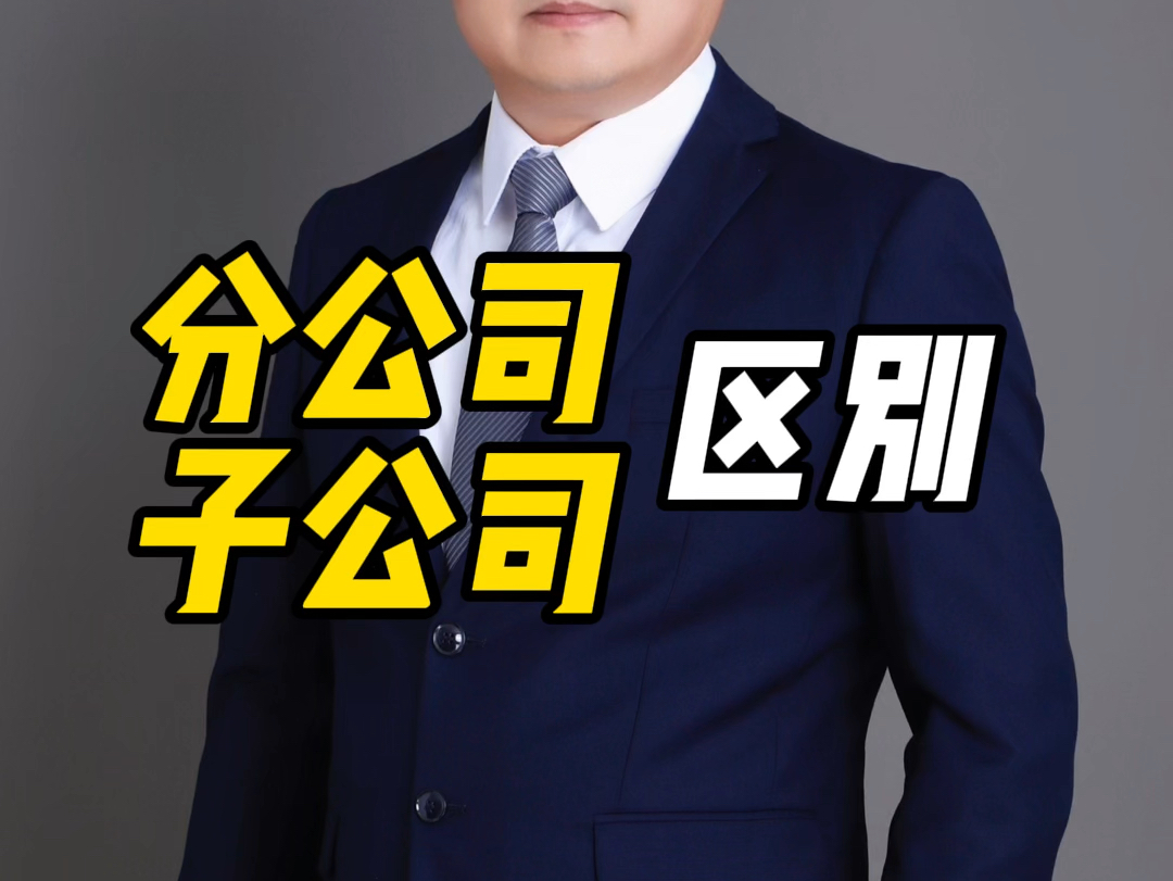分公司vs子公司区别 #北京代理注册公司北京注册公司 #北京公司注册地
