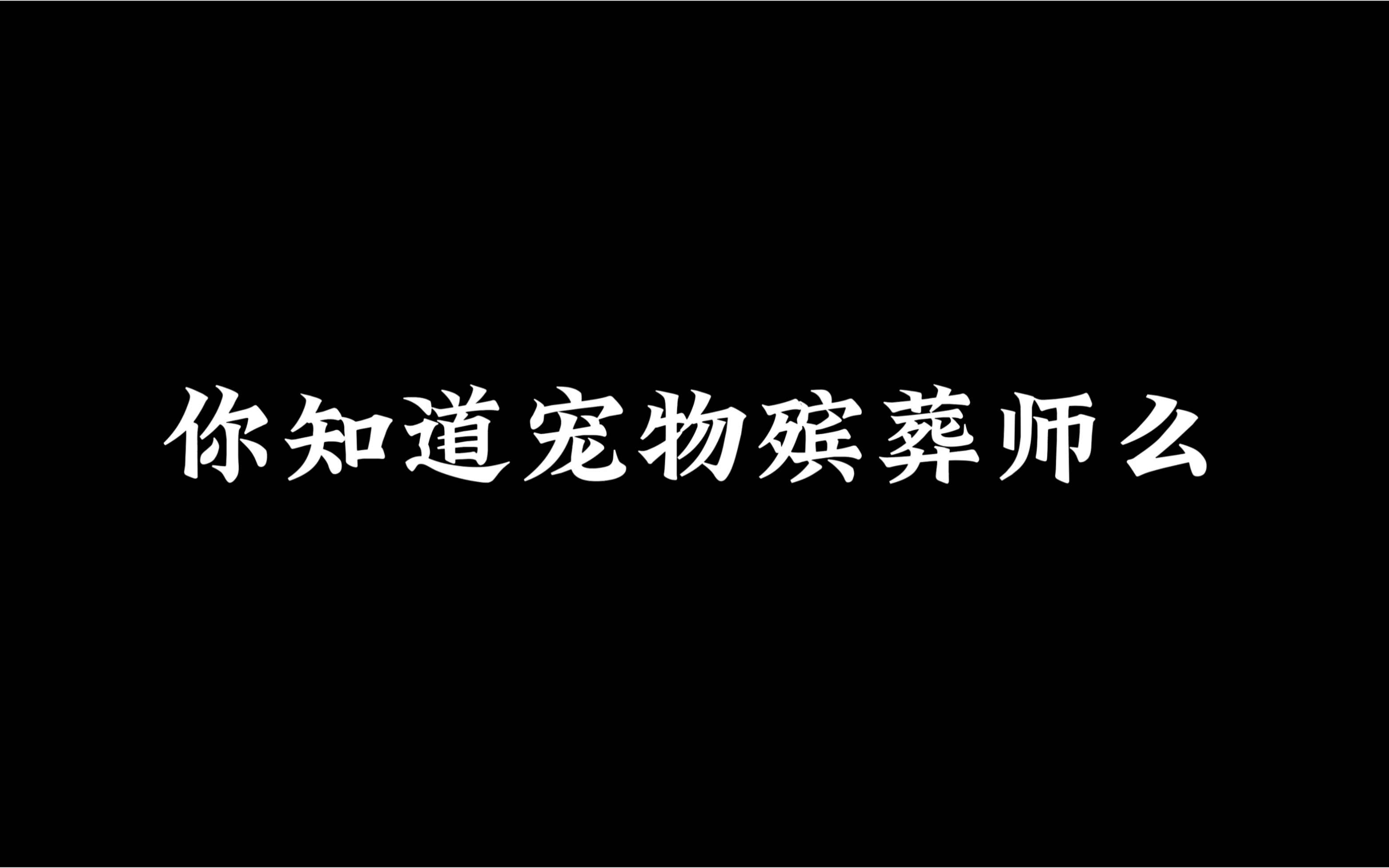 你知道宠物殡葬师吗?你觉得这份工作很轻松吗哔哩哔哩bilibili