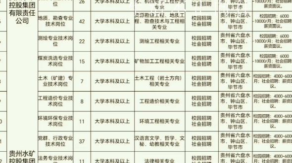 月薪600012000元!贵州水矿控股集团有限责任公司招聘423人!哔哩哔哩bilibili