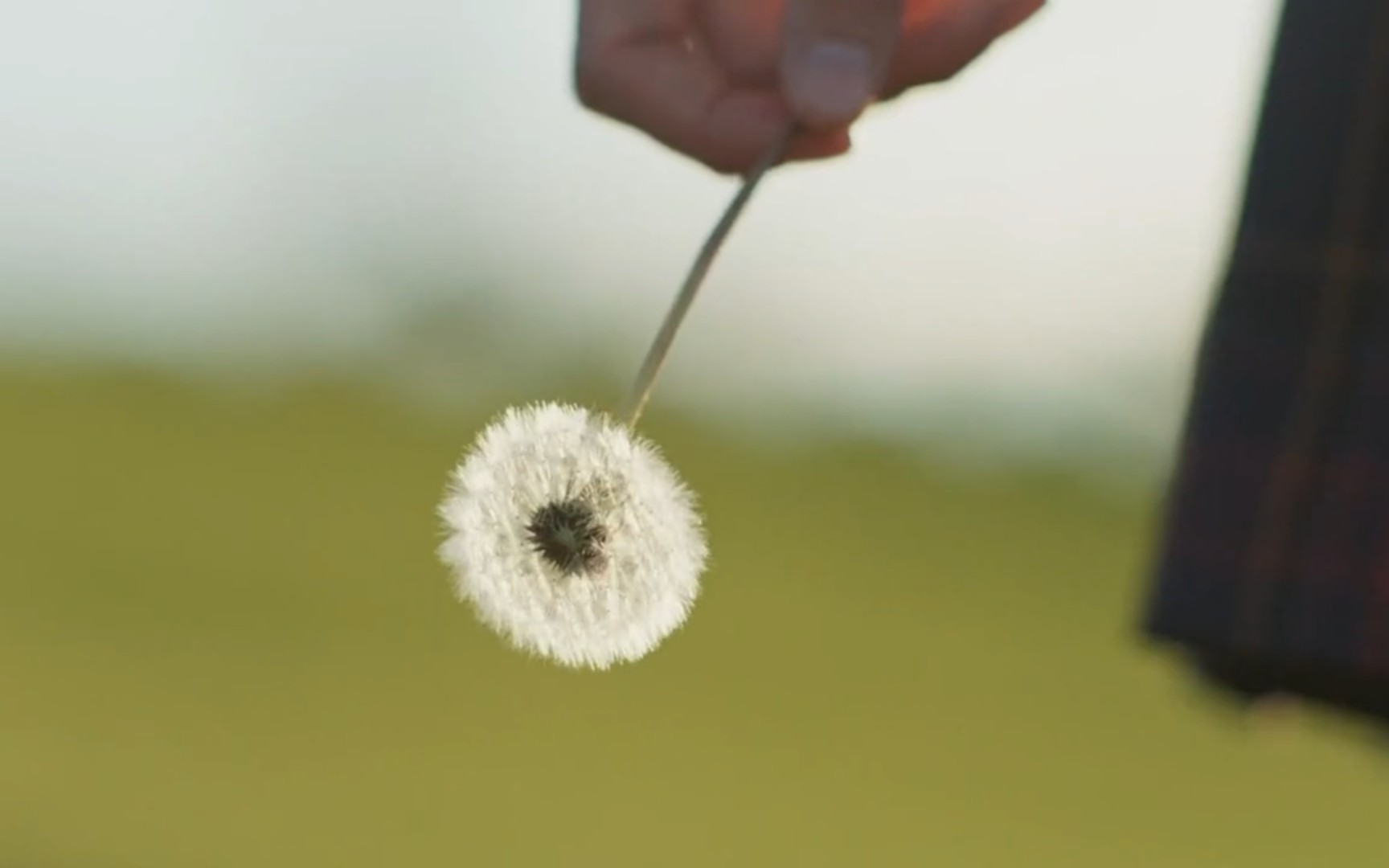 [图]我会等 枯木逢春 发芽生花