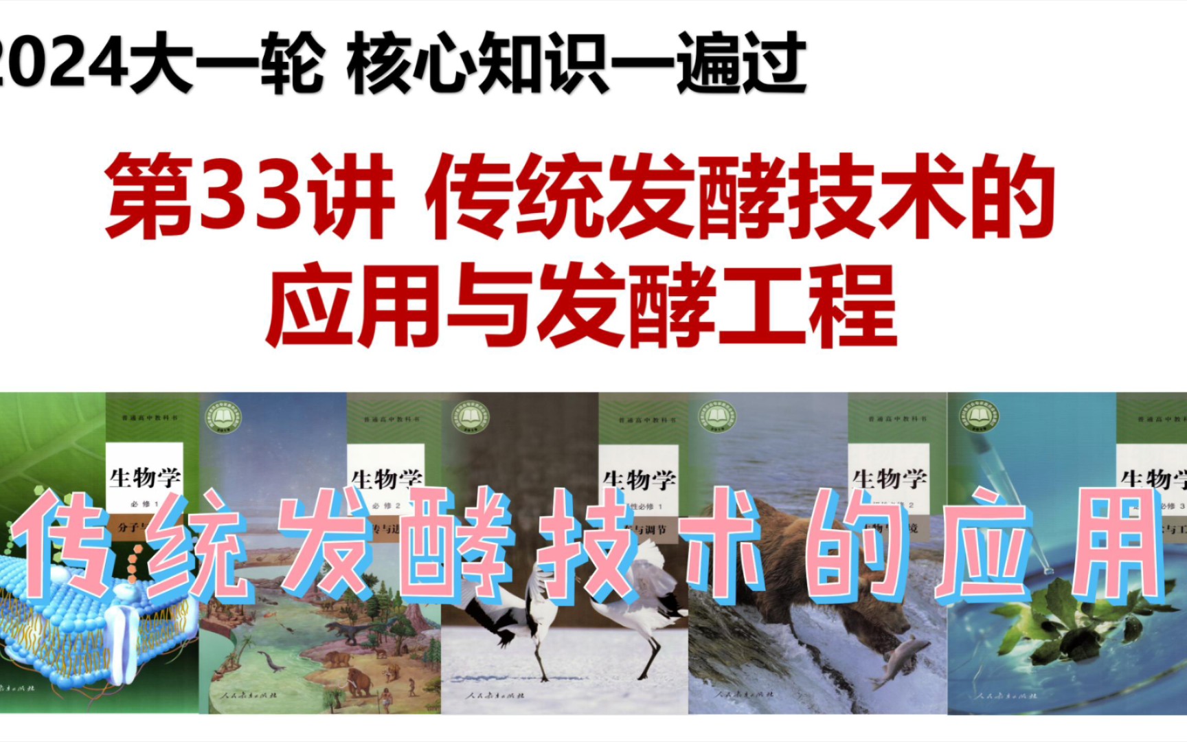 高中生物选修三 2024高考一轮复习 第33讲 传统发酵技术的应用与发酵工程 考点一 传统发酵技术的应用 ①发酵与传统发酵技术哔哩哔哩bilibili