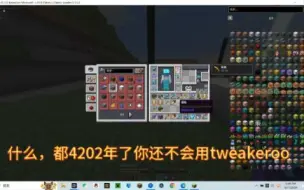 下载视频: 4202年了你还不会用tweakeroo？？？（tweakeroo v4