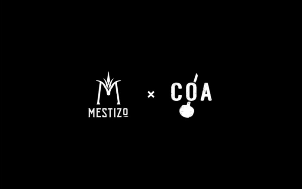 [COA x Mestizo] 龙舌兰一分钟 2. 梅斯卡尔和特基拉的区别哔哩哔哩bilibili