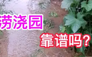 Download Video: 夏天，大雨之后，要马上浇菜园，是真的吗？