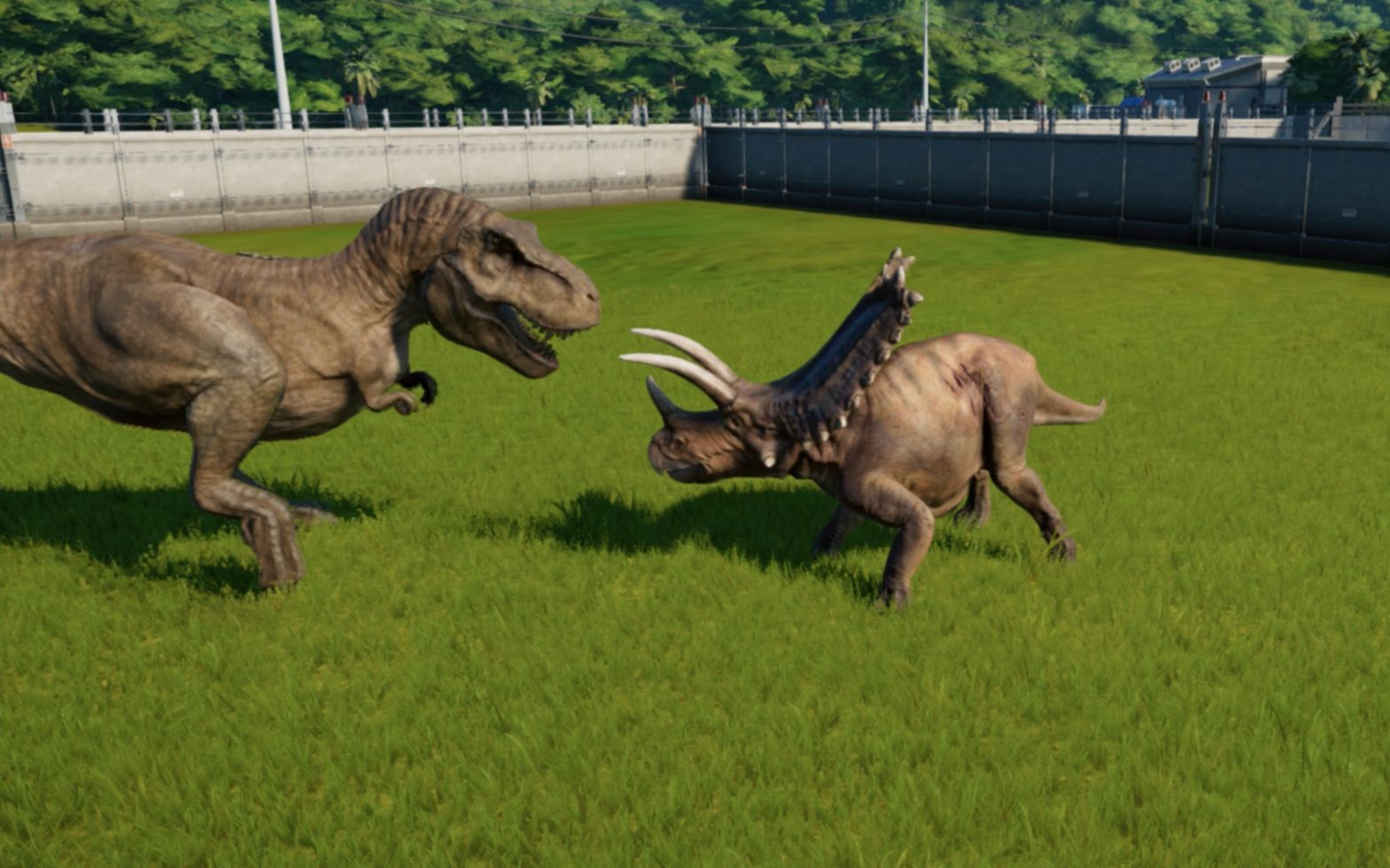 侏罗纪世界,当五角龙遇上霸王龙!