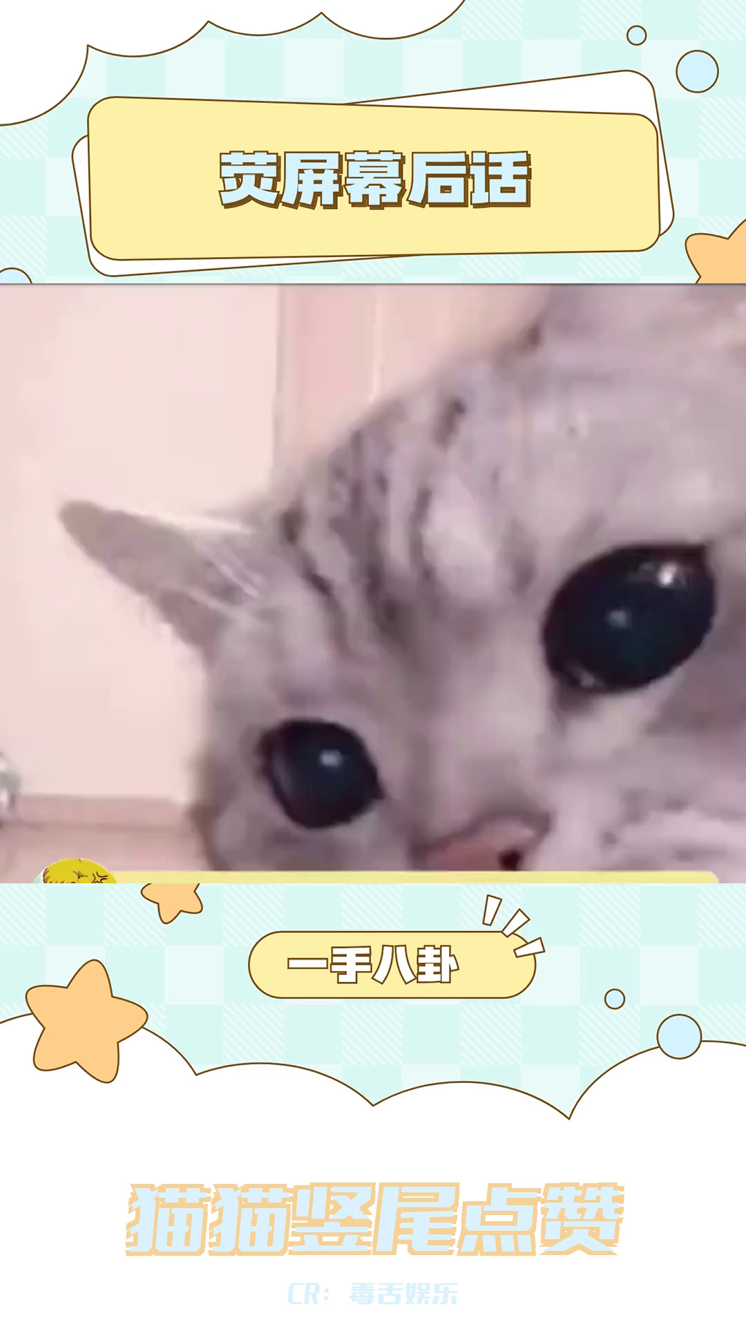 猫猫竖尾巴的奇妙现象:原来是在点赞!哔哩哔哩bilibili