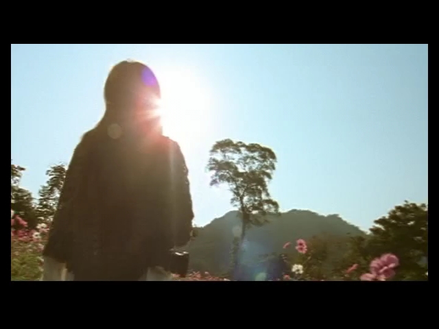 周杰伦《花海》mv【高清修复】