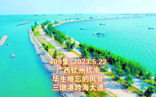 409集 广西钦州钦南 毕生难忘的风景 三墩港跨海大道哔哩哔哩bilibili