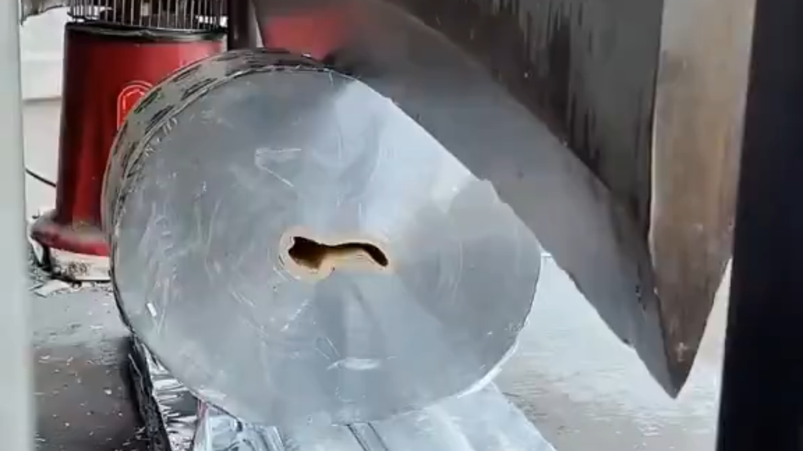 我以为我长大了会看点别的