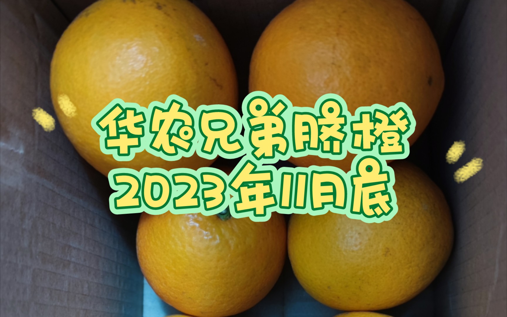 华农兄弟11月底批次脐橙开箱,6070mm一共11个哔哩哔哩bilibili