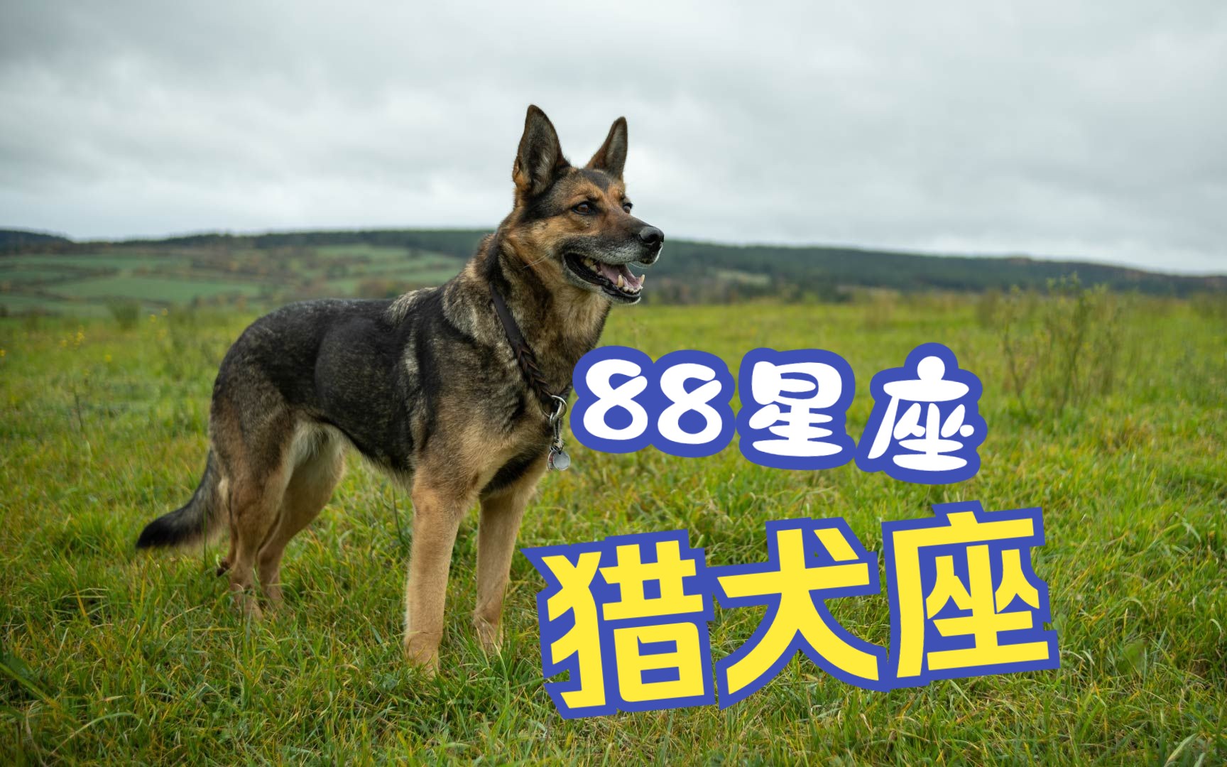 猎犬座 最具有研究价值的星座