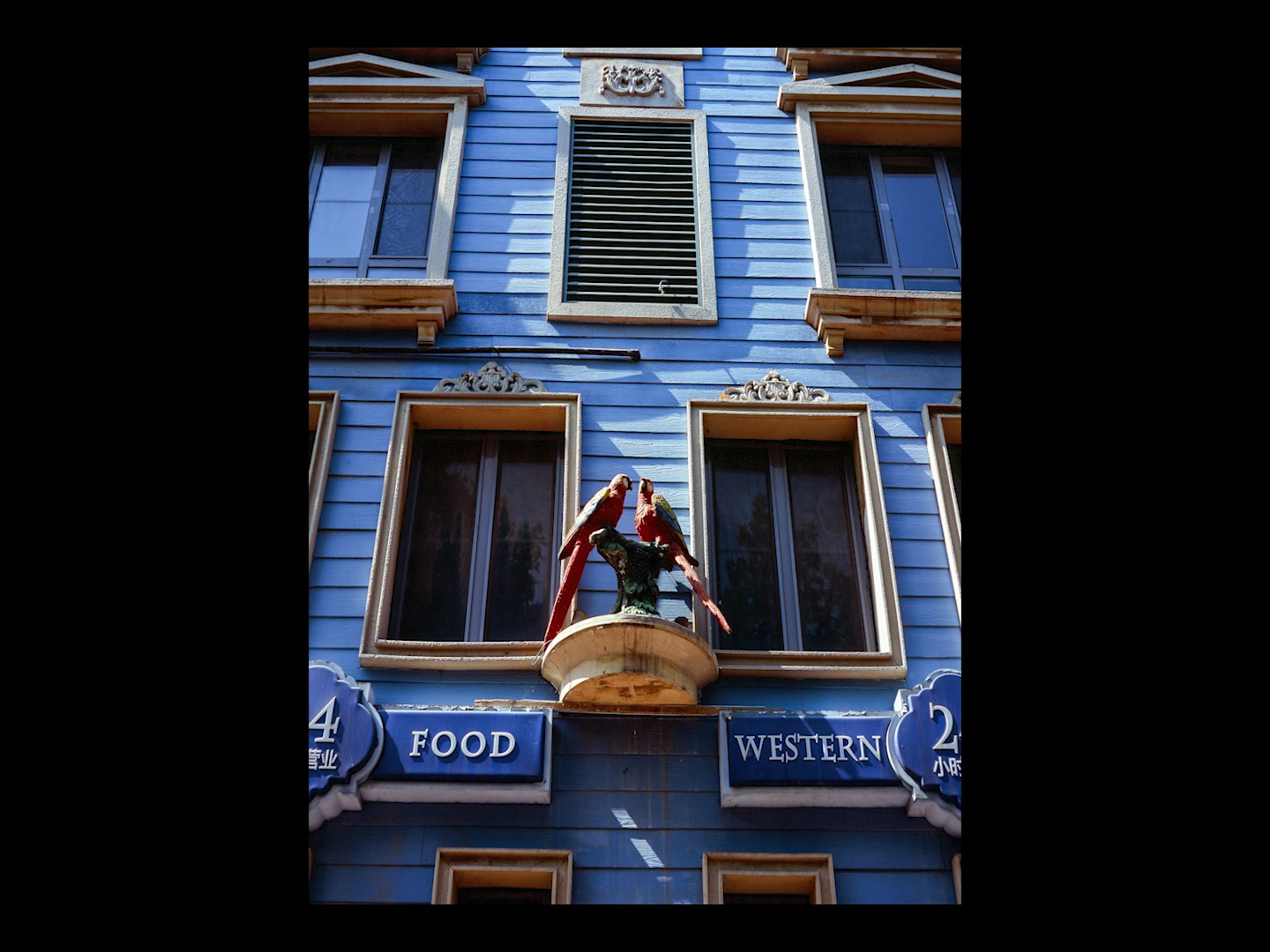 胶片我的第一卷彩色正片而且是中画幅的哦2019年9月北京雁栖湖201914