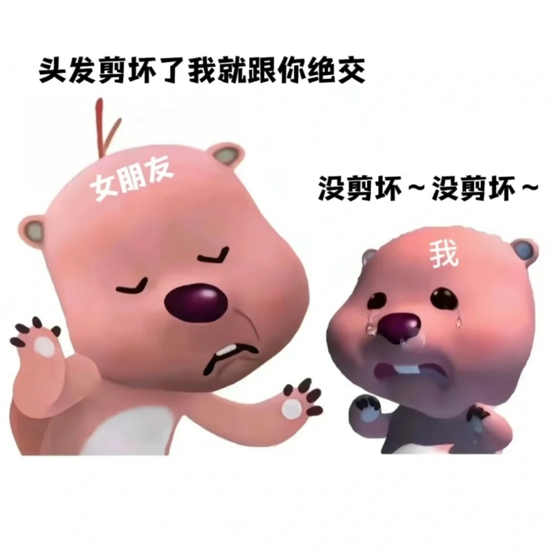 loopy搞笑表情包系列4哔哩哔哩bilibili