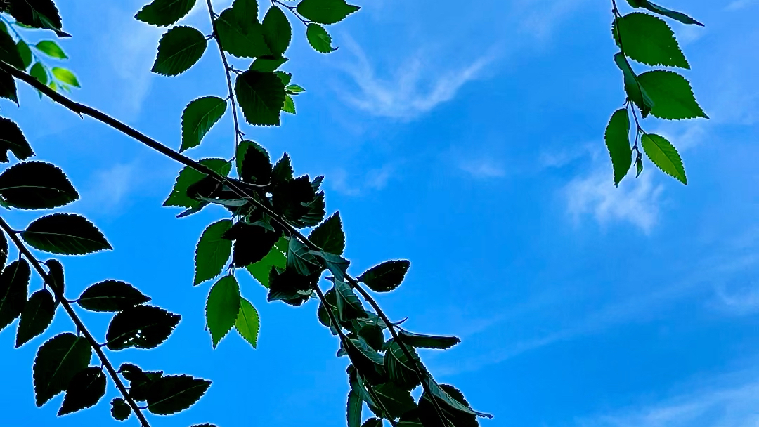 这,天气真好啊!