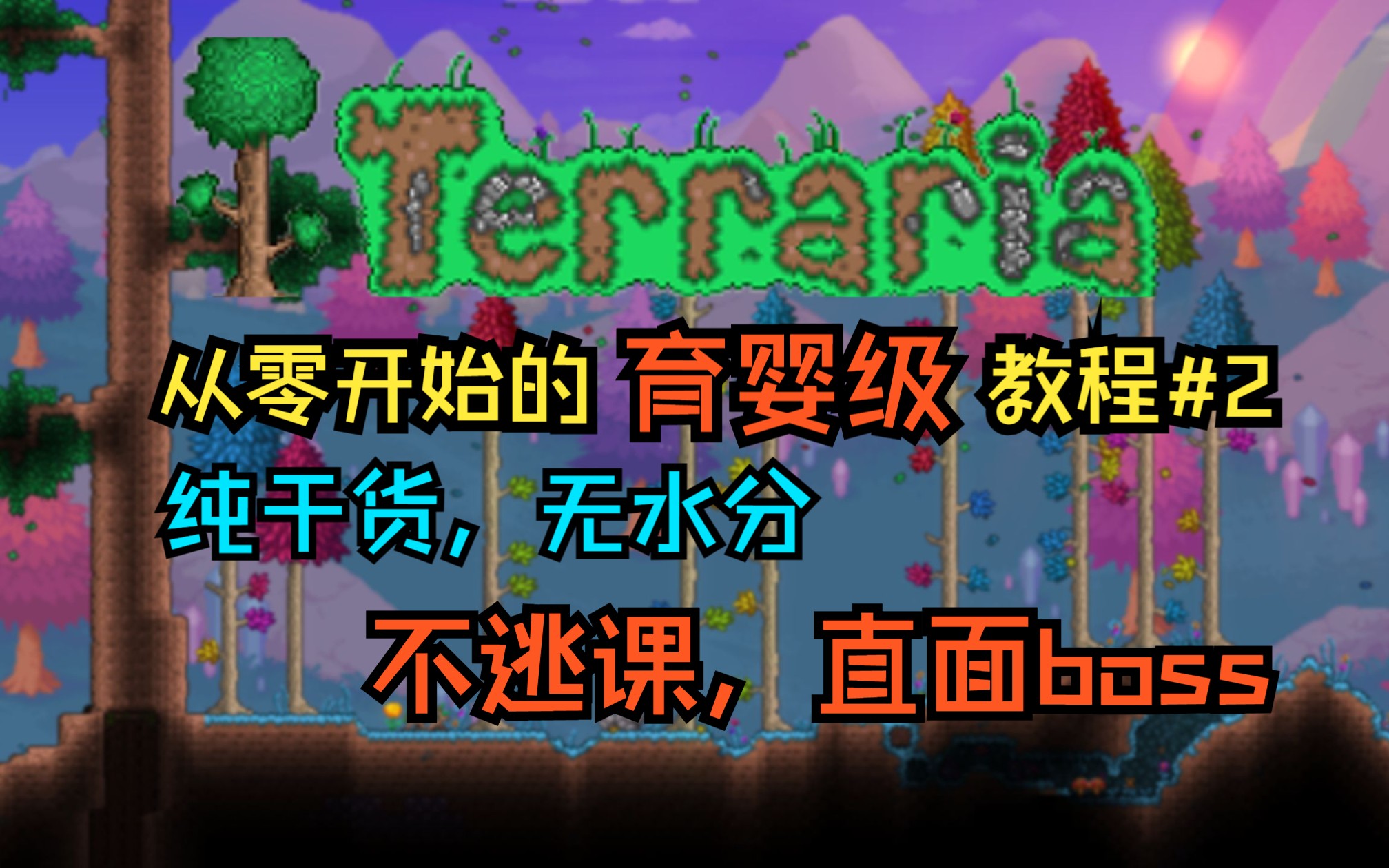 【泰拉瑞亚】从零开始的泰拉瑞亚”育婴级“教程第二期,纯干货,不逃课!认真打Boss与各地形的一些基本信息泰拉瑞亚教程