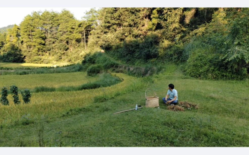 大山里的生活,今天收花生哔哩哔哩bilibili