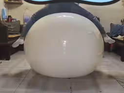 新坐骑乳白色大球球