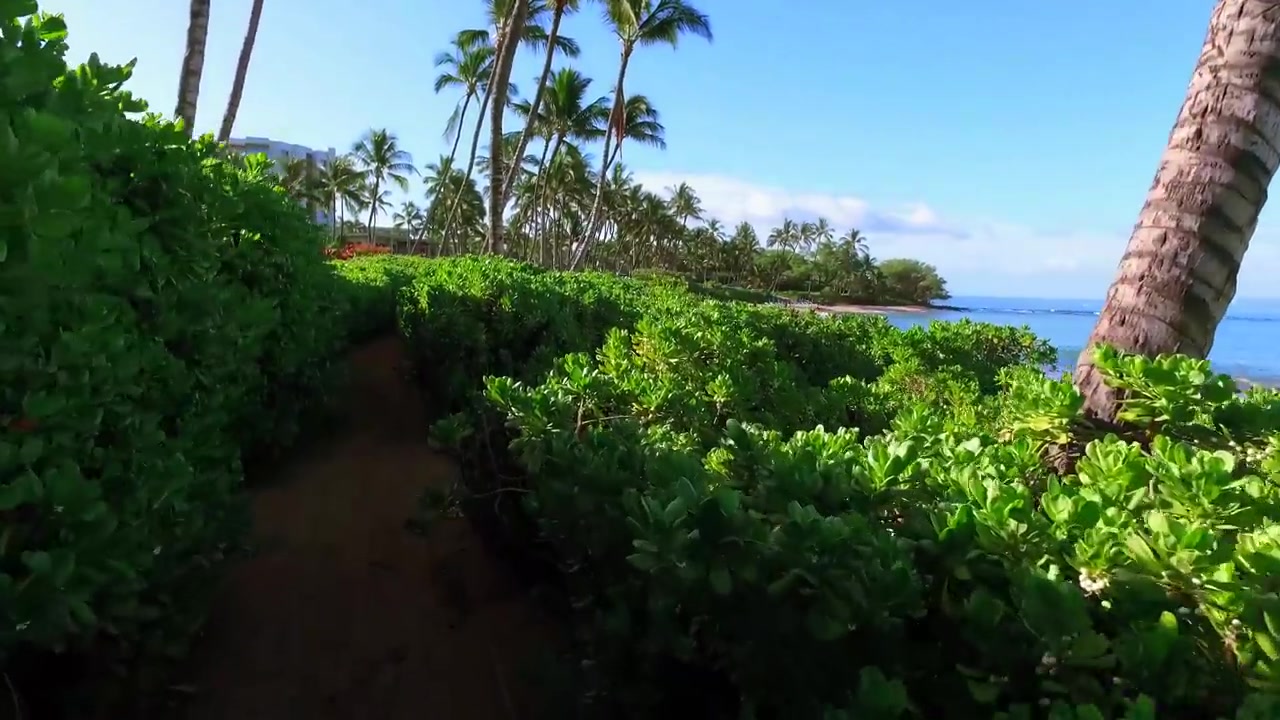 【最美夏威夷】夏威夷茂宜岛Wailea Beach Path, Maui, Hawaii哔哩哔哩bilibili