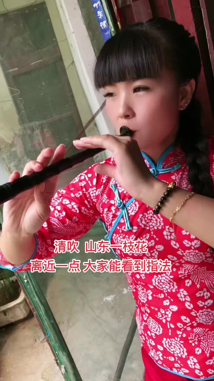 向笛唢呐简介图片