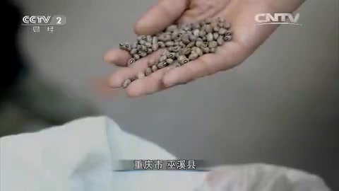 [图]《精品财经纪录》20160321舌尖上的马铃薯