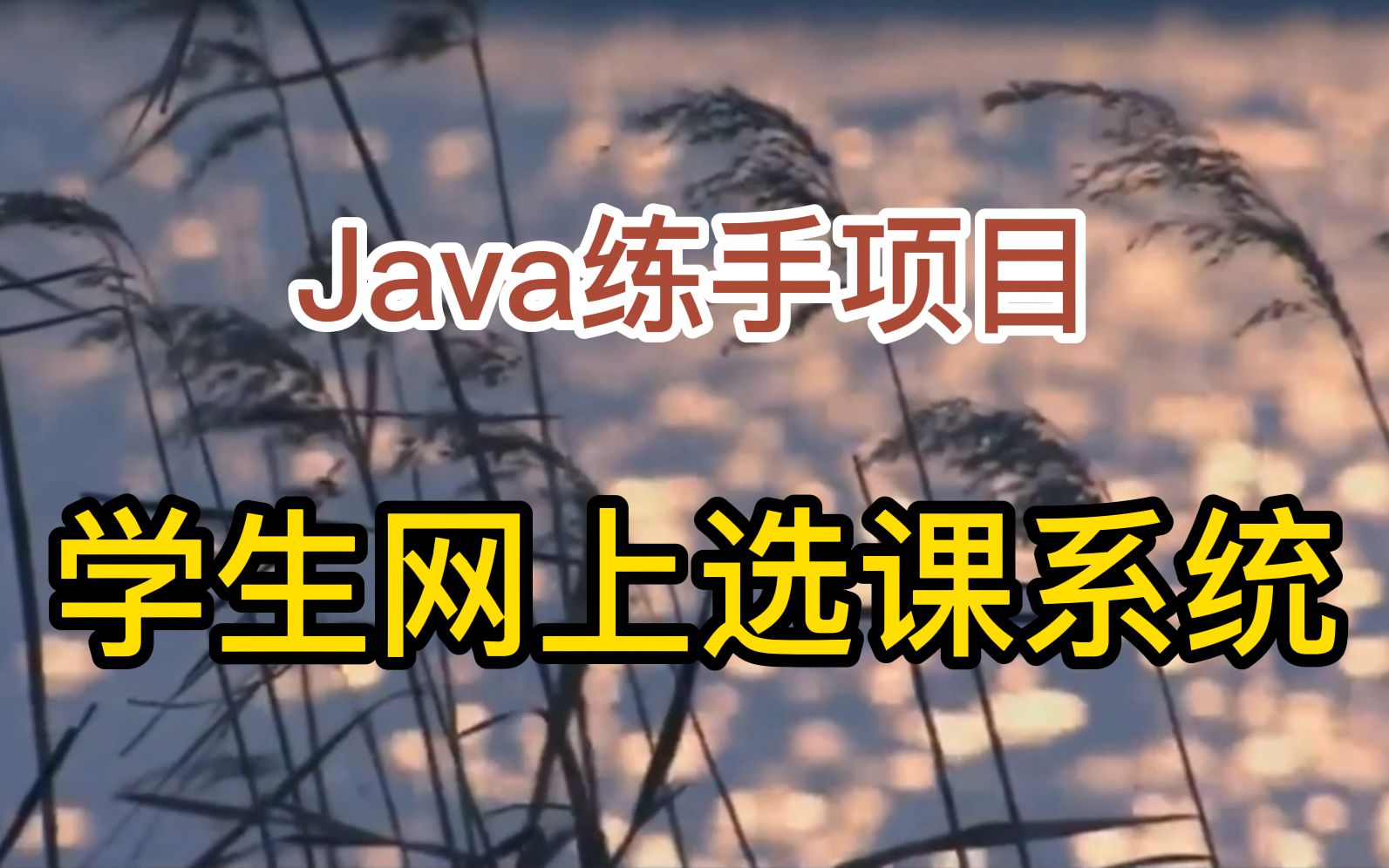 【Java练手项目】用java 做一个学生网上选课系统(已开源)哔哩哔哩bilibili