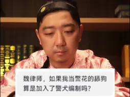 Video herunterladen: 当警花的舔狗算进了警犬编制吗？