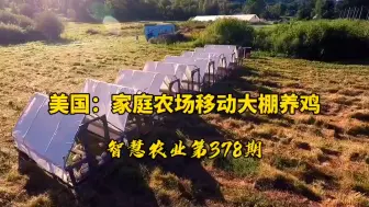 Descargar video: 美国：家庭农场移动大棚养鸡技术