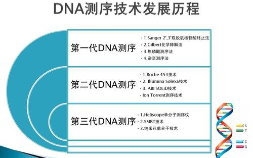 【快速入门】第一、第二、第三代测序原理(生信笔试面试必考题)哔哩哔哩bilibili