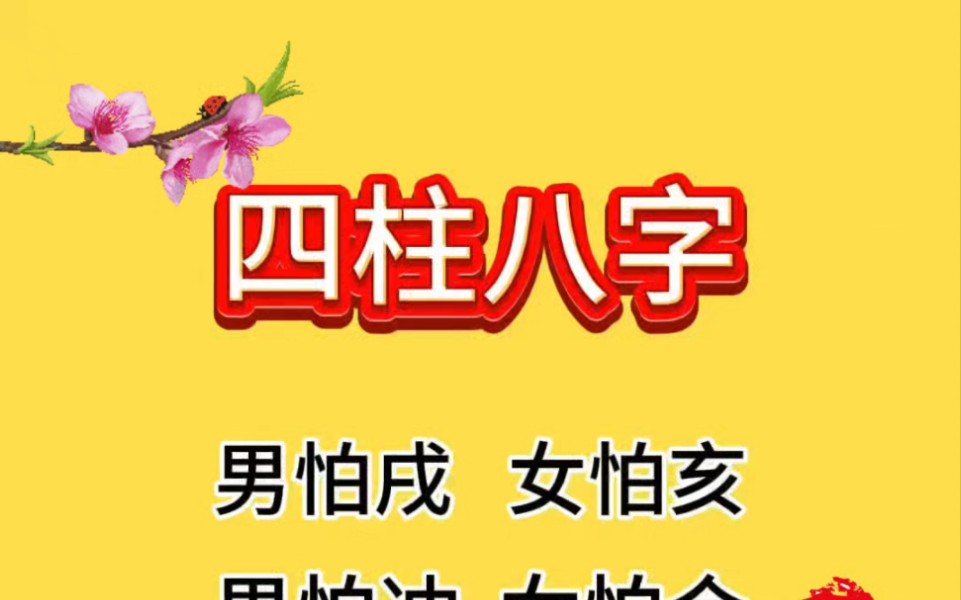 精批四柱八字!精心制作,点赞收藏!哔哩哔哩bilibili