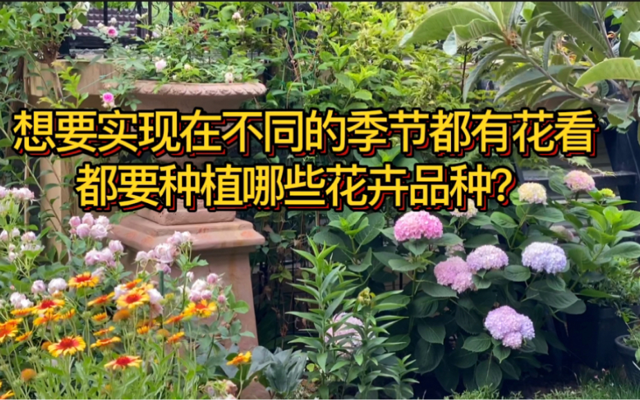 [图]想要实现在不同的季节都有花看，我们都要种植哪些花卉品种