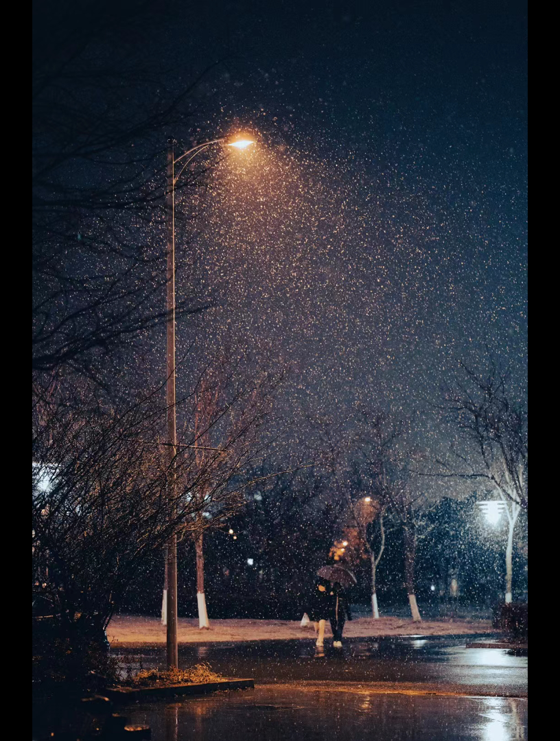 [图]金陵的夜雪 斑驳了梦人