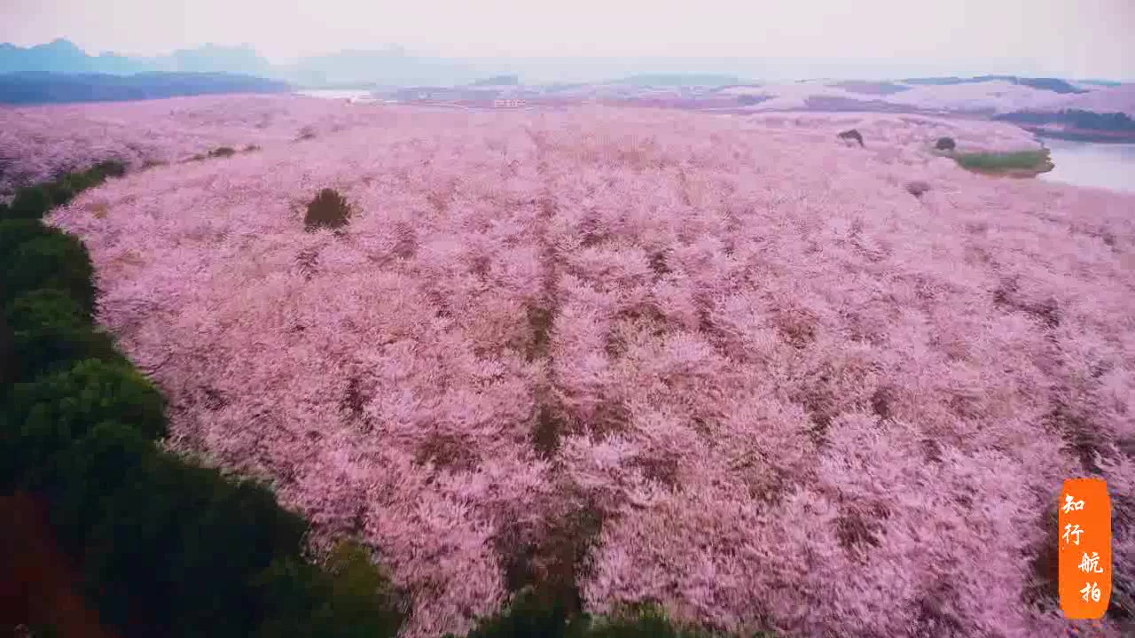 [图]王冰洋一首《想念你》没有你我觉得十分孤寂