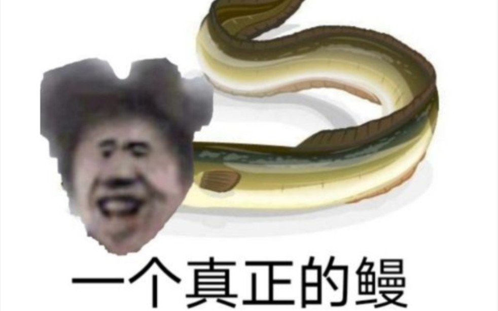 [图]鲲语学习仅供参考