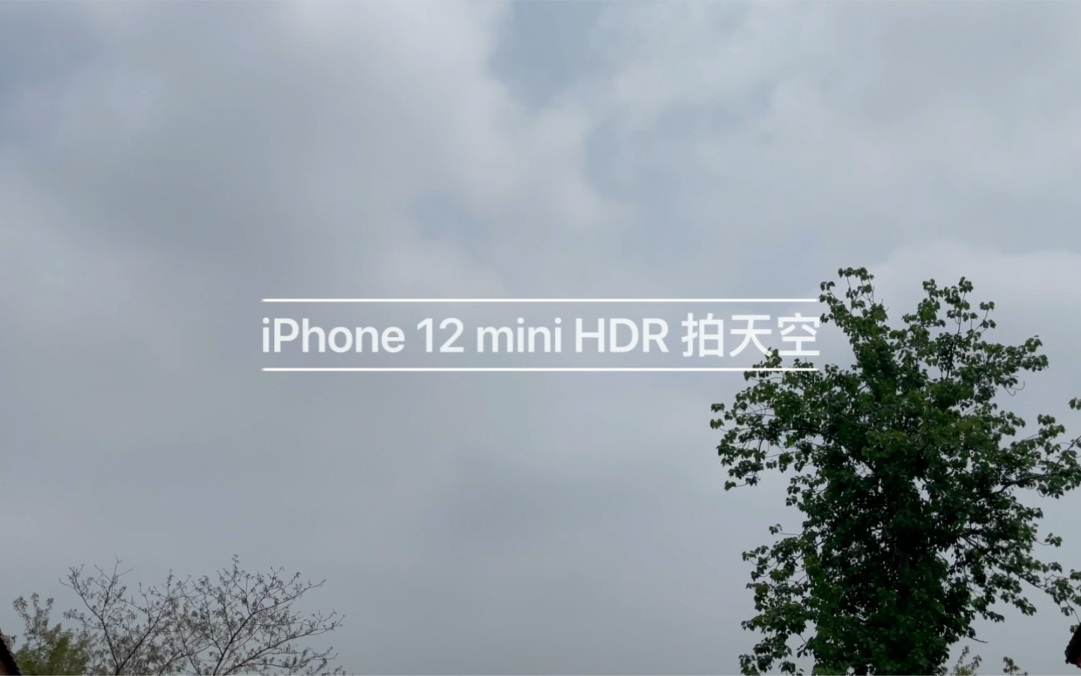 活动作品iphone12minihdr