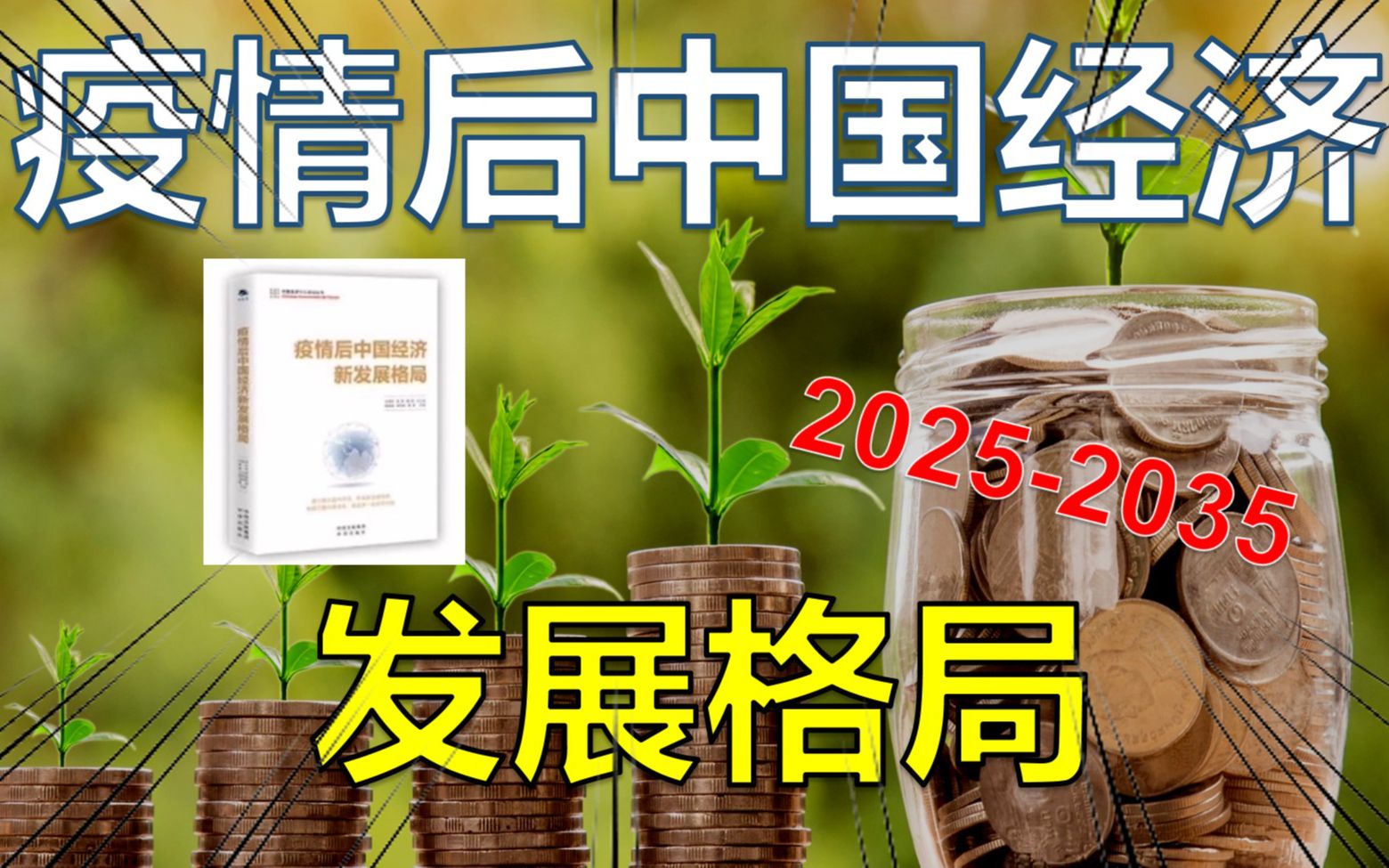 【经济】国内最顶尖50名经济学家合著!下一个20年中国经济会怎么走?【兰森拆书】哔哩哔哩bilibili