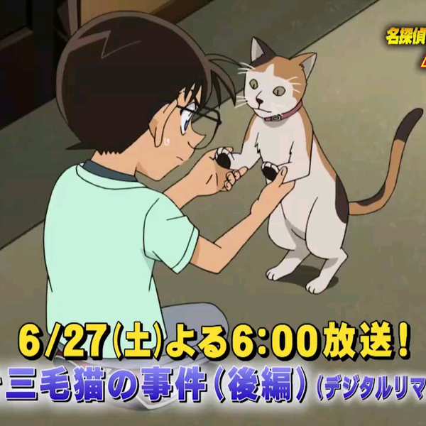 補強して発送します名探偵コナン アフレコ 台本 2冊セット 招き三毛猫の事件 前後編 アニメ