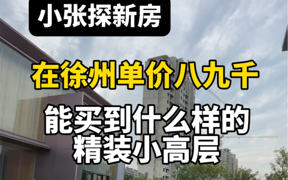 在徐州单价八九千能买到什么样的新房精装小高层,配套齐全,性价比高,走一起去看看#徐州 #徐州房产 #徐州楼市哔哩哔哩bilibili