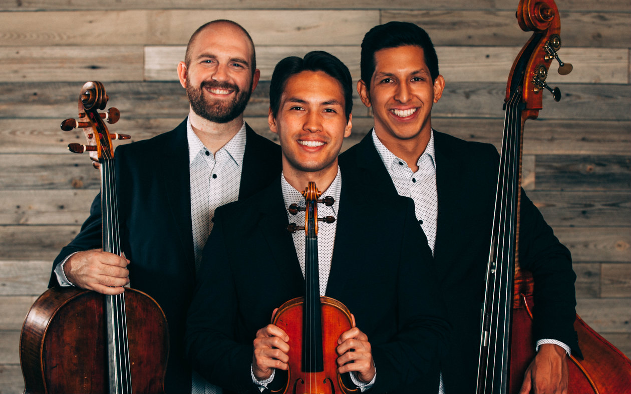 counting stars - onerepublic (violin_cello_bass cover) simply