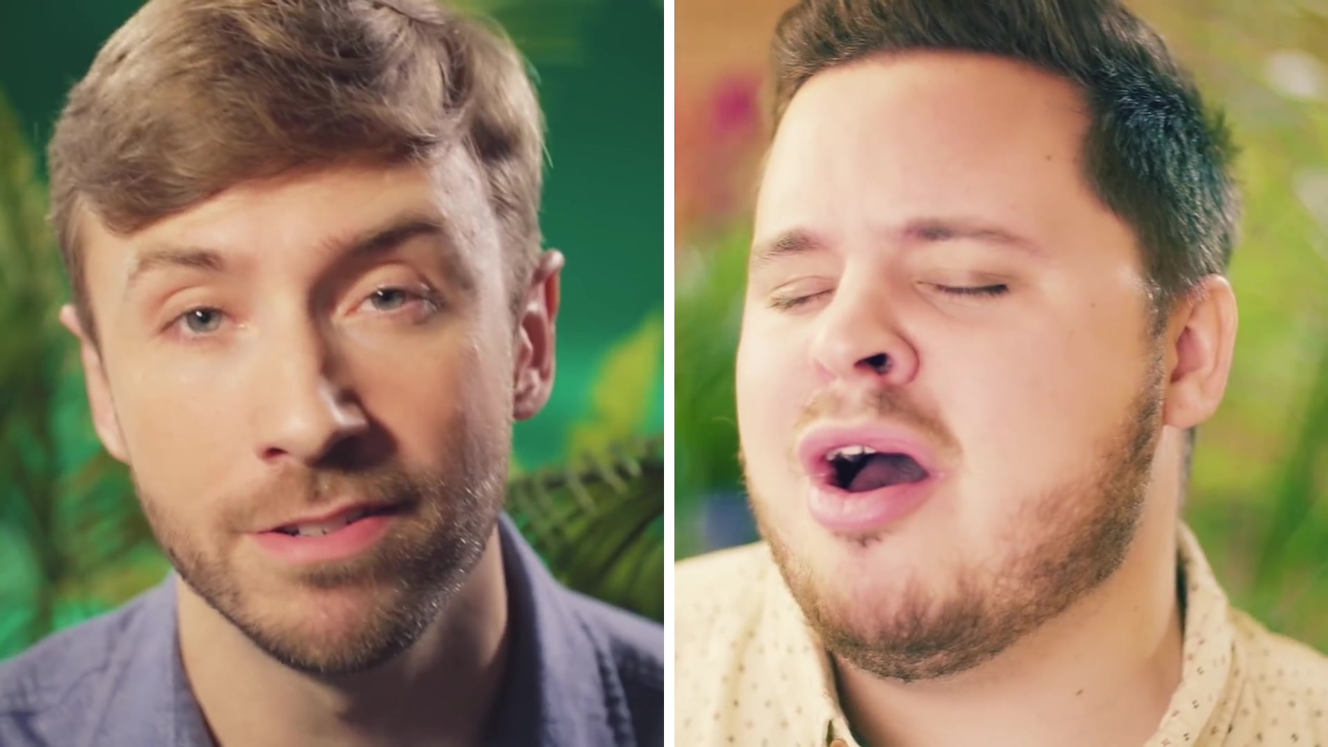 [图]【Peter Hollens】纯人声翻唱 人猿泰山 You'll be in My Heart w/Bryan Lanning