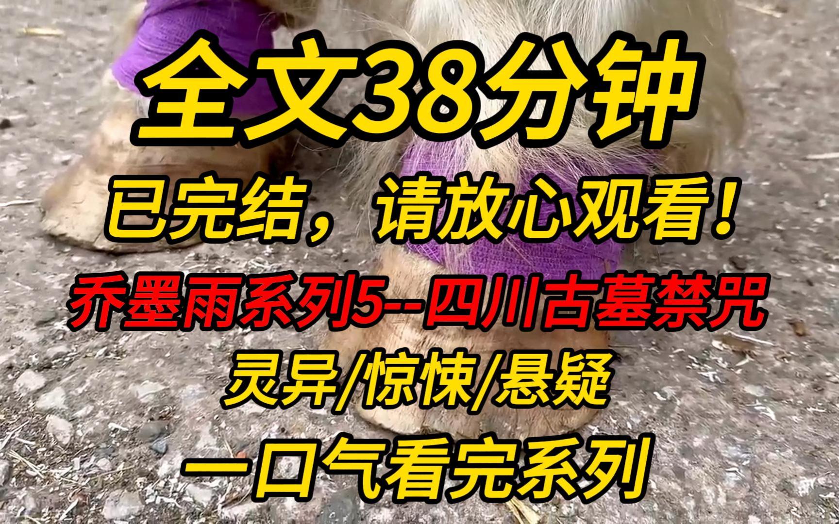 [图]【完结文】乔墨雨系列5--四川古墓禁咒：全城感染瘟疫，所有人高烧不止，逐渐地丧失劳动能力。我却发微博：无所谓，我会出手。全城哗然……