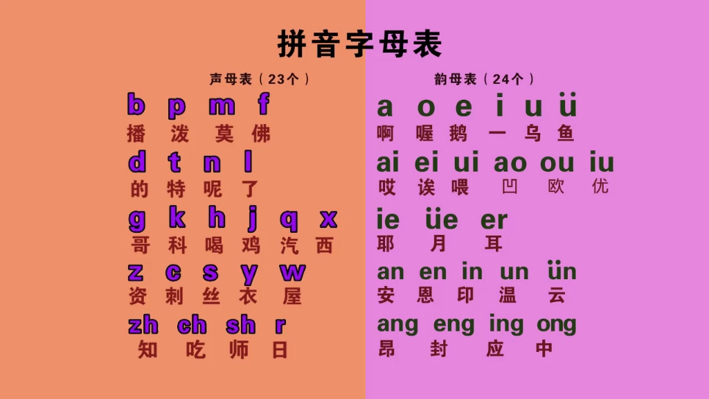 零基础汉语拼音字母表入学教程,声母表,韵母表,整体认读音节