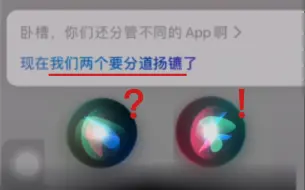 Descargar video: 两个Siri在吵架