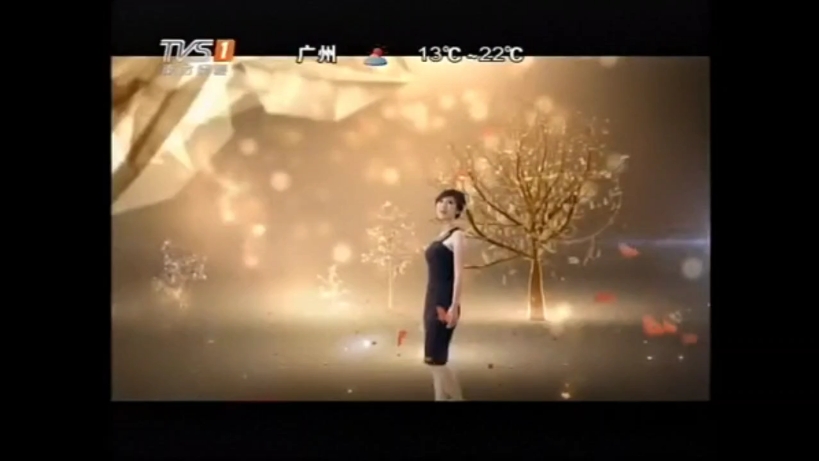 20130128tvs1马后炮节目开始前id