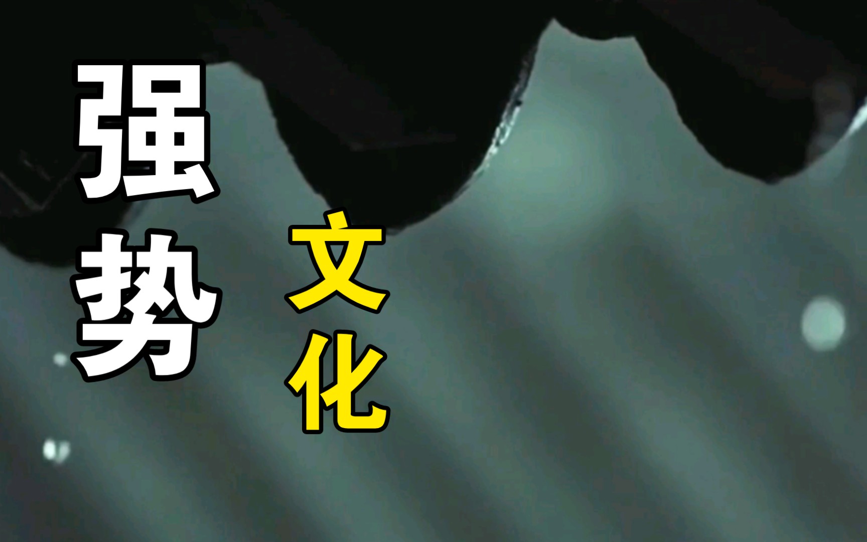 强势文化,不懂得小伙伴已经关注我了