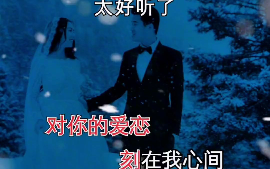 [图]7177283102518054184-今年的雪花好美 伤感音乐 又是雪花飘落的季节 下雪了