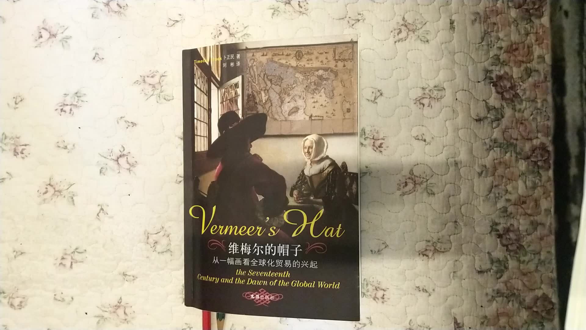 从画中解读全球化维梅尔的帽子读书分享