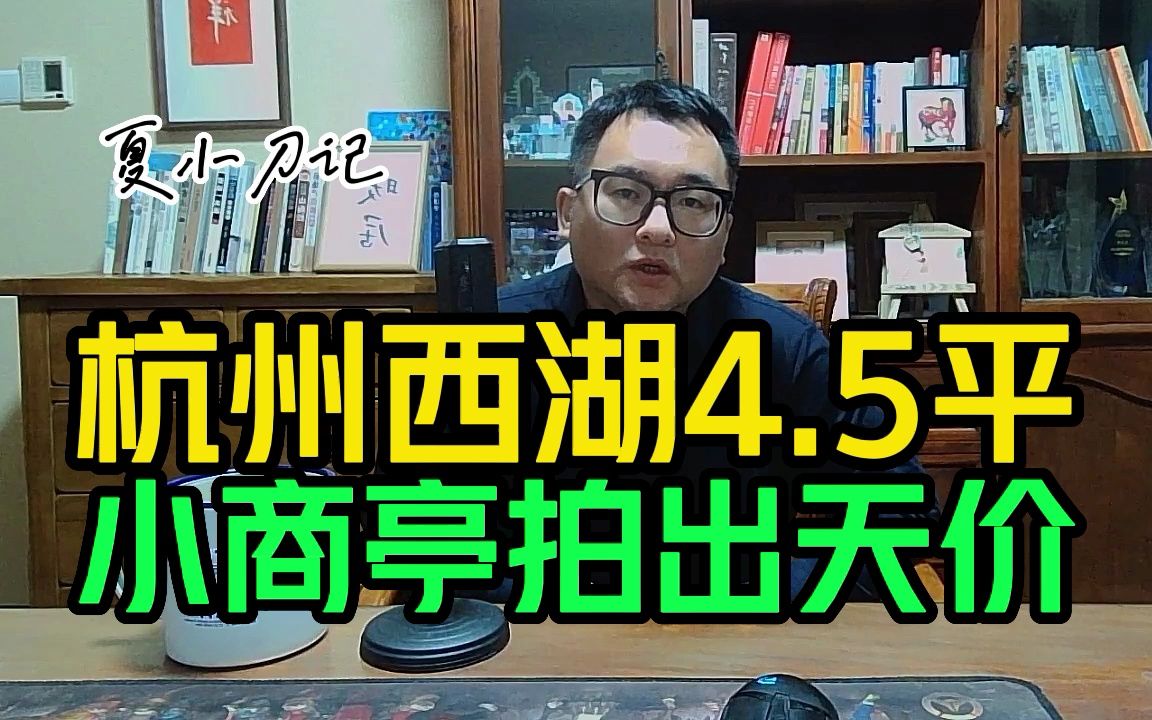 西湖4.5平小商亭拍出天价租金,一年4000亿旅游收入杭州如何做到哔哩哔哩bilibili